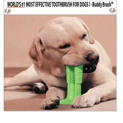 WORLD'S MOST EFFECTIVE TOOTHBRUSH FOR DOGS - Buddy Brush™