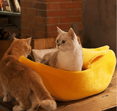 Adorable Cat Banana Bed