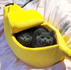 Adorable Cat Banana Bed