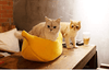 Adorable Cat Banana Bed