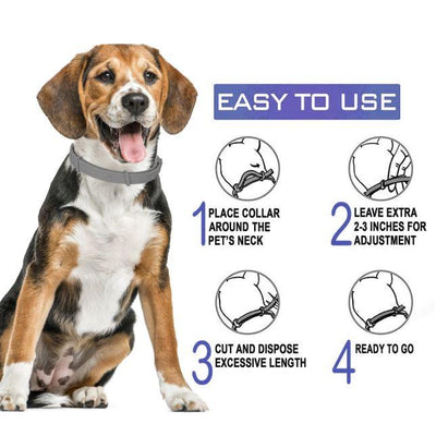 Dewel Anti Flea/Tick Pet Collar