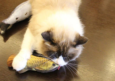 3D Fish Shape Cat Toy