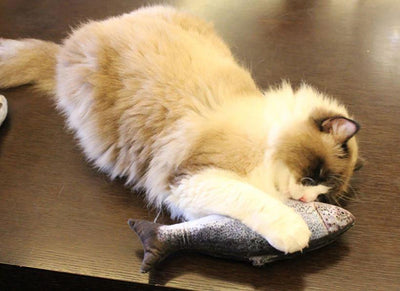 3D Fish Shape Cat Toy