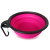 Handy and Collapsible Pet Bowl